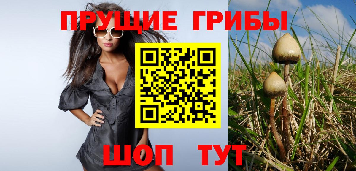 Псилоцибиновые грибы Cubensis  Псилоцибиновые грибы Cubensis  Самара  Вход с VPN 